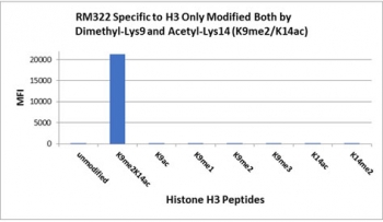 The  H3K9me2/K14ac antibody specifically reacts to Histone H3 only when modified at both dimethyl-lysine 9 and acetyl-lysine 14 (K9me2/K14ac). No cross reactivity with non-modified Lysine 9/14, methylated Lysine 9 (K9me1, k9me2, k9me3) ONLY, acetylated Lysine 9/14 ONLY, or methylated Lysine 14 (K14me2) ONLY,
