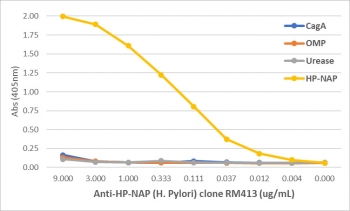 An ELISA of Helicobacter Pylori proteins using recombinant HP-NAP antibody. The plate was coated with 1 ug/ml of CagA, OMP, Urease, or HP-NAP of H. Pylori. A serial dilution of the RM413 mAb was used as the primary antibody. An alkaline phosphatase conjugated anti-rabbit IgG was used as the secondary antibod