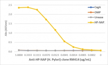 An ELISA of Helicobacter Pylori proteins using recombinant H pylori NAP antibody. The plate was coated with 1 ug/ml of CagA, OMP, Urease, or HP-NAP of H. Pylori. A serial dilution of the RM414 mAb was used as the primary antibody. An alkaline phosphatase conjugated anti-rabbit IgG was used as the secondary a