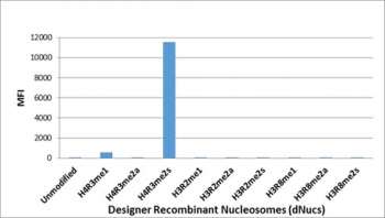 Luminex analysis of Designer Recombinant Nucleosomes (dNucs) with the re