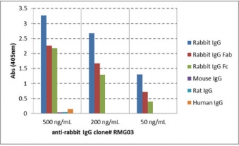 ELISA of IgGs from different species shows recombinant Rabbit IgG antibody reacts to rabbit IgG; no cross reactivity with human IgG, rat IgG, or mouse IgG. The plate was coated with 50 ng/well of different IgG. 500 ng/mL, 200 ng/mL, or 50 ng/mL of RMG03 was used as the primary antibody. An alkaline phospha