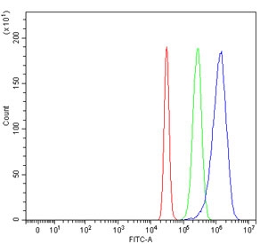 Flow cytometry testing of human HepG2 cells with Glypican 3 antibody at 1ug/million cells (blocked with goat sera); Red=cells alone, Green=isotype control, Blue= Glypican 3 antibody.~
