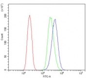 Flow cytometry testing of human PC-3 cells with YWHAZ antibody at 1ug/million cells (blocked with goat sera); Red=cells alone, Green=isotype control, Blue= YWHAZ antibody.