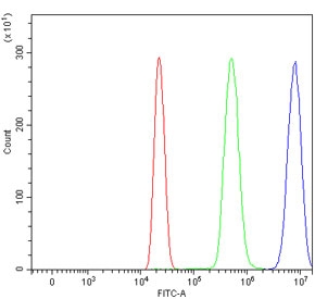 Flow cytometry testing of human HL60 cells with ACP3 antibody at 1ug/million cells (blocked with goat sera); Red=cells alone, Green=isotype control, Blue= ACP3 antibody.