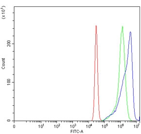 Flow cytometry testing of human K562 cells with ALAS2 antibody at 1ug/million cells (blocked with goat sera); Red=cells alone, Green=isotype control, Blue= ALAS2 antibody.
