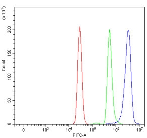 Flow cytometry testing of human U937 cells with Apoptotic protease-activating factor 1 antibody at 1ug/million cells (blocked with goat sera); Red=cells alone, Green=isotype control, Blue= Apoptotic protease-activating factor 1 antibody.~