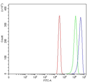 Flow cytometry testing of human SiHa cells with Emmprin antibody at 1ug/million cells (blocked with goat sera); Red=cells alone, Green=isotype control, Blue= Emmprin antibody.