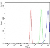 Flow cytometry testing of human A431 cells with PPARG antibody at 1ug/million cells (blocked with goat sera); Red=cells alone, Green=isotype control, Blue= PPARG antibody.