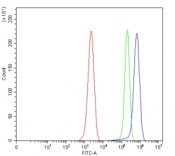 Flow cytometry testing of mouse ANA-1 cells with CDK2 antibody at 1ug/million cells (blocked with goat sera); Red=cells alone, Green=isotype control, Blue= CDK2 antibody.