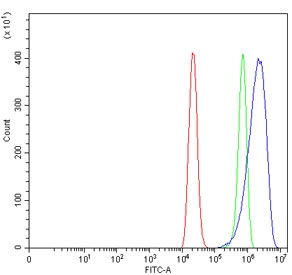 Flow cytometry testing of human ThP-1 cells with EREG1 antibody at 1ug/million cells (blocked with goat sera); Red=cells alone, Green=isotype control, Blue= EREG1 antibody.~