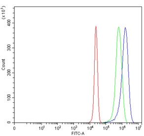 Flow cytometry testing of human HepG2 cells with DSG3 antibody at 1ug/million cells (blocked with goat sera); Red=cells alone, Green=isotype control, Blue= DSG3 antibody.~