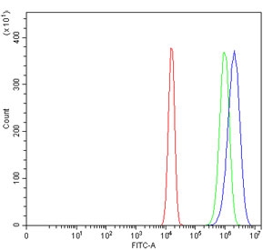 Flow cytometry testing of human U-2 OS cells with eIF-3 p48 antibody at 1ug/million cells (blocked with goat sera); Red=cells alone, Green=isotype control, Blue= eIF-3 p48 antibody.~