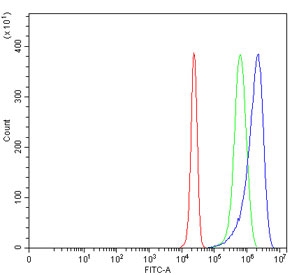 Flow cytometry testing of human HepG2 cells with MT-ND6 antibody at 1ug/million cells (blocked with goat sera); Red=cells alone, Green=isotype control, Blue= MT-ND6 antibody.