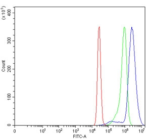 Flow cytometry testing of human K562 cells with Transcription factor Sp6 antibody at 1ug/million cells (blocked with goat sera); Red=cells alone, Green=isotype control, Blue= Transcription factor Sp6 antibody.~