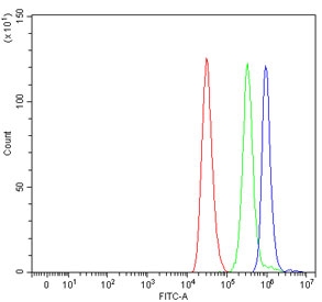 Flow cytometry testing of human ThP-1 cells with PALB2 antibody at 1ug/million cells (blocked with goat sera); Red=cells alone, Green=isotype control, Blue= PALB2 antibody.~