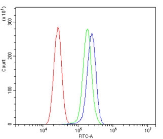 Flow cytometry testing of human U-87 MG cells with ERp57 antibody at 1ug/million cells (blocked with goat sera); Red=cells alone, Green=isotype control, Blue= ERp57 antibody.