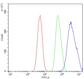 Flow cytometry testing of human U-87 MG cells with Proteasome 20S beta 7 antibody at 1ug/million cells (blocked with goat sera); Red=cells alone, Green=isotype control, Blue= Proteasome 20S beta 7 antibody.