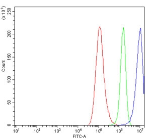 Flow cytometry testing of human A549 cells with RAD50 antibody at 1ug/million cells (blocked with goat sera); Red=cells alone, Green=isotype control, Blue= RAD50 antibody.