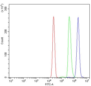 Flow cytometry testing of human U937 cells with CENPI antibody at 1ug/million cells (blocked with goat sera); Red=cells alone, Green=isotype control, Blue= CENPI antibody.~