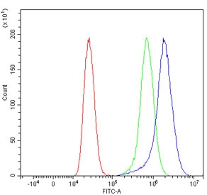 Flow cytometry testing of human MCF7 cells with TTPA antibody at 1ug/million cells (blocked with goat sera); Red=cells alone, Green=isotype control, Blue= TPPA antibody.~