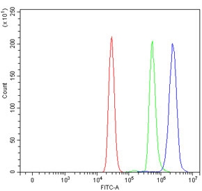 Flow cytometry testing of human U937 cells with ADAM10 antibody at 1ug/million cells (blocked with goat sera); Red=cells alone, Green=isotype control, Blue= ADAM10 antibody.~