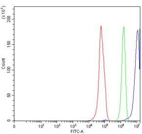 Flow cytometry testing of human RT4 cells with ERCC1 antibody at 1ug/million cells (blocked with goat sera); Red=cells alone, Green=isotype control, Blue= ERCC1 antibody.~