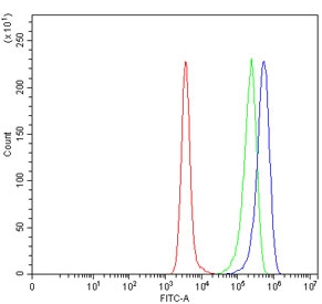 Flow cytometry testing of human Daudi cells with Junctional adhesion molecule A antibody at 1ug/million cells (blocked with goat sera); Red=cells alone, Green=isotype control, Blue= Junctional adhesion molecule A antibody.