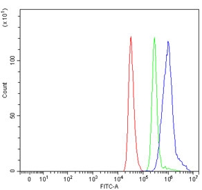 Flow cytometry testing of human ThP-1 cells with KAT5 antibody at 1ug/million cells (blocked with goat sera); Red=cells alone, Green=isotype control, Blue= KAT5 antibody.~