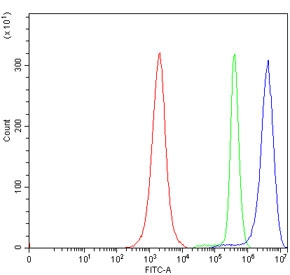 Flow cytometry testing of human JK cells with ERG-1 antibody at 1ug/million cells (blocked with goat sera); Red=cells alone, Green=isotype control, Blue= ERG-1 antibody.~