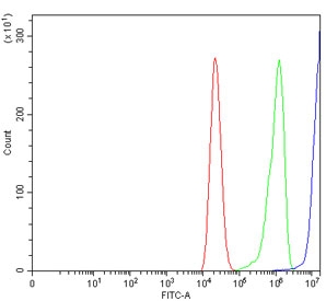 Flow cytometry testing of human Caco-2 cells with CD171 antibody at 1ug/million cells (blocked with goat sera); Red=cells alone, Green=isotype control, Blue= CD171 antibody.~