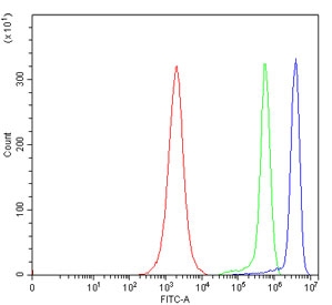 Flow cytometry testing of human JK cells with NDFIP2 antibody at 1ug/million cells (blocked with goat sera); Red=cells alone, Green=isotype control, Blue= NDFIP2 antibody.