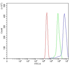 Flow cytometry testing of human HepG2 cells with SLC4A1 antibody at 1ug/million cells (blocked with goat sera); Red=cells alone, Green=isotype control, Blue= SLC4A1 antibody.