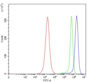 Flow cytometry testing of human JK cells with PMPCB antibody at 1ug/million cells (blocked with goat sera); Red=cells alone, Green=isotype control, Blue= PMPCB antibody.