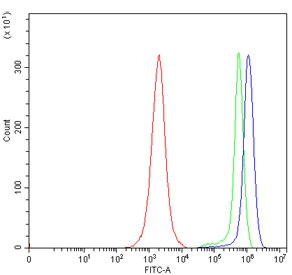 Flow cytometry testing of human JK cells with TLN1 antibody at 1ug/million cells (blocked with goat sera); Red=cells alone, Green=isotype control, Blue= TLN1 antibody.~
