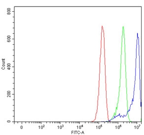 Flow cytometry testing of human RT4 cells with KPNB1 antibody at 1ug/million cells (blocked with goat sera); Red=cells alone, Green=isotype control, Blue= KPNB1 antibody.
