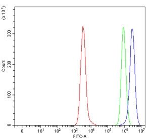 Flow cytometry testing of human Daudi cells with HLA-DRA antibody at 1ug/million cells (blocked with goat sera); Red=cells alone, Green=isotype control, Blue= HLA-DRA antibody.
