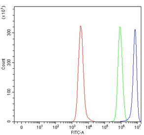 Flow cytometry testing of human Daudi cells with HLA-DRA antibody at 1ug/million cells (blocked with goat sera); Red=cells alone, Green=isotype control, Blue= HLA-DRA antibody.