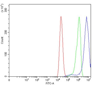 Flow cytometry testing of human Caco-2 cells with Angiomotin antibody at 1ug/million cells (blocked with goat sera); Red=cells alone, Green=isotype control, Blue= Angiomotin antibody.