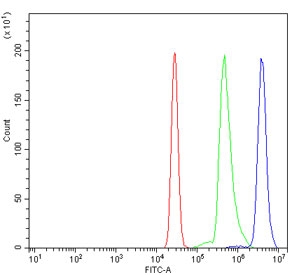 Flow cytometry testing of human U937 cells with CCDC115 antibody at 1ug/million cells (blocked with goat sera); Red=cells alone, Green=isotype control, Blue= CCDC115 antibody.