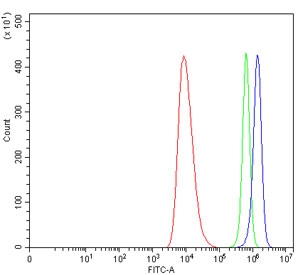 Flow cytometry testing of human HEL cells with MDR15 antibody at 1ug/million cells (blocked with goat sera); Red=cells alone, Green=isotype control, Blue= MDR15 antibody.~