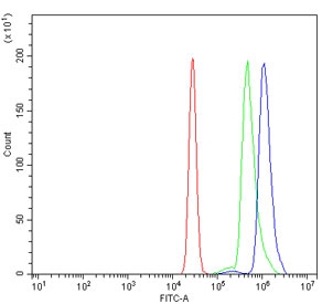 Flow cytometry testing of human U937 cells with DNM2 antibody at 1ug/million cells (blocked with goat sera); Red=cells alone, Green=isotype control, Blue= DNM2 antibody.~