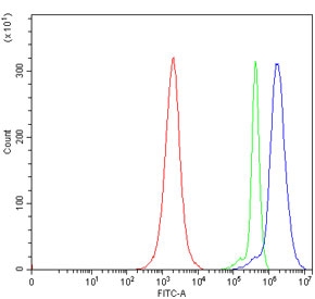 Flow cytometry testing of human JK cells with E2F5 antibody at 1ug/million cells (blocked with goat sera); Red=cells alone, Green=isotype control, Blue= E2F5 antibody.~