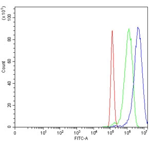 Flow cytometry testing of human PC-3 cells with Fumarylacetoacetate hydrolase antibody at 1ug/million cells (blocked with goat sera); Red=cells alone, Green=isotype control, Blue= Fumarylacetoacetate hydrolase antibody.