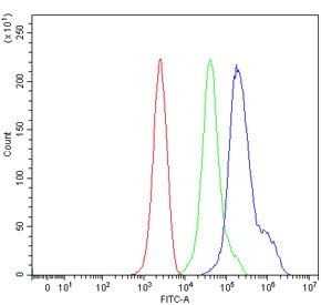 Flow cytometry testing of mouse ANA-1 cells with Fanca antibody at 1ug/million cells (blocked with goat sera); Red=cells alone, Green=isotype control, Blue= Fanca antibody.~