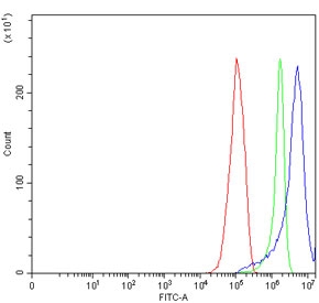 Flow cytometry testing of human RT4 cells with HCLS1 antibody at 1ug/million cells (blocked with goat sera); Red=cells alone, Green=isotype control, Blue= HCLS1 antibody.~