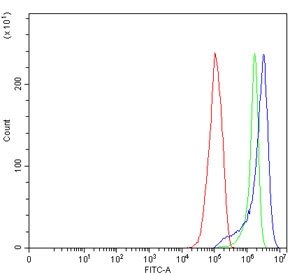 Flow cytometry testing of human RT4 cells with MX1 antibody at 1ug/million cells (blocked with goat sera); R