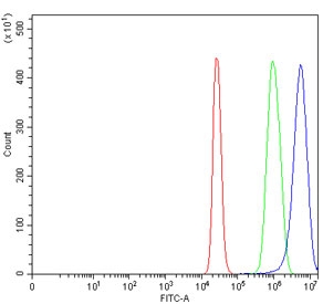 Flow cytometry testing of human HepG2 cells with SLC22A7 antibody at 1ug/million cells (blocked with goat sera); Red=cells alone, Green=isotype control, Blue= SLC22A7 antibody.