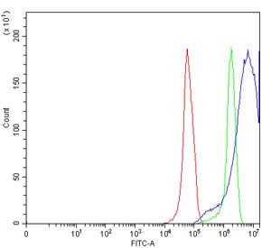 Flow cytometry testing of human RT4 cells with TRPV6 antibody at 1ug/million cells (blocked with goat sera); Red=cells alone, Green=isotype control, Blue= TRPV6 antibody.~