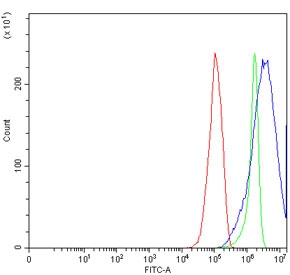 Flow cytometry testing of human RT4 cells with BBS8 antibody at 1ug/million cells (blocked with goat sera); Red=cells alone, Green=isotype control, Blue= BBS8 antibody.~