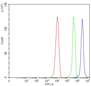 Flow cytometry testing of mouse RAW264.7 cells with Carbonic Anhydrase IX antibody at 1ug/million cells (blocked with goat sera); Red=cells alone, Green=isotype control, Blue= Carbonic Anhydrase IX antibody.